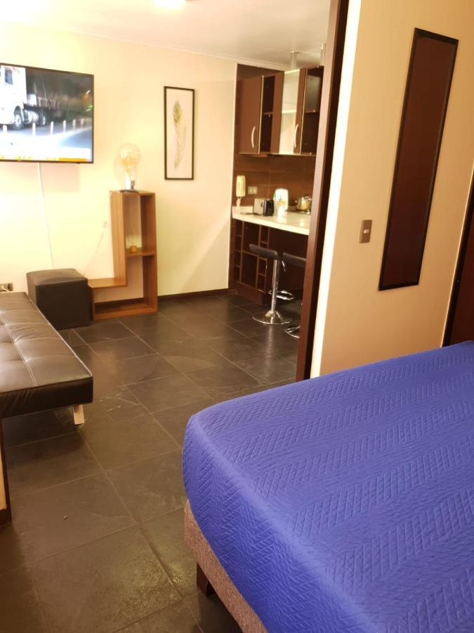 Departamento Con Terraza R&m Santiago del Cile